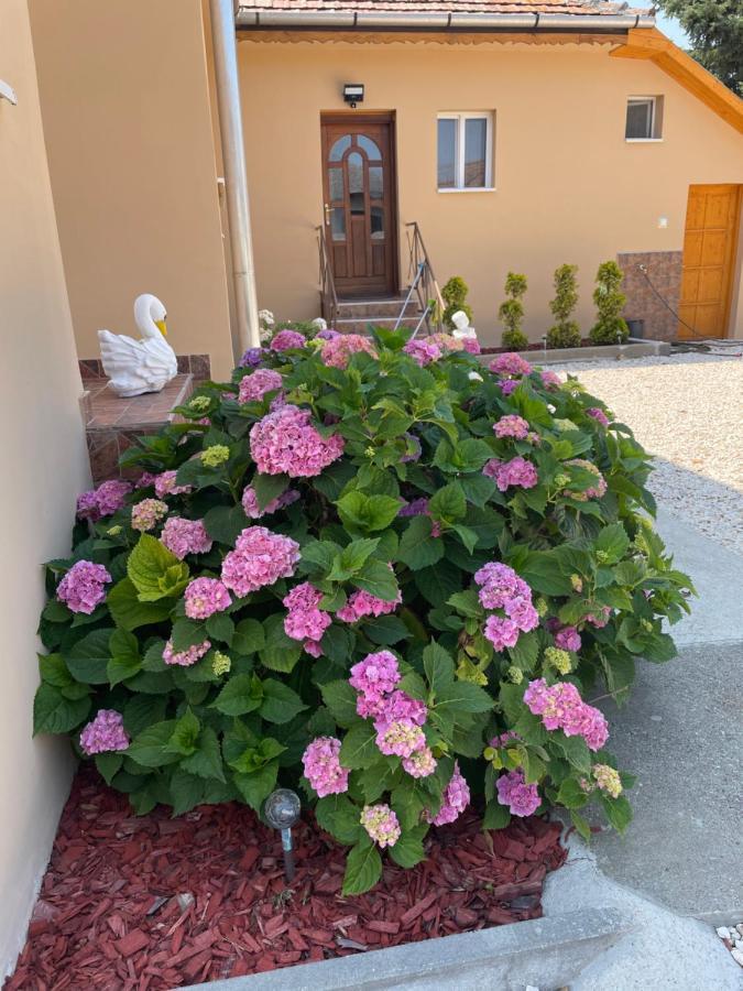 Toerpi Apartman Halmaj Buitenkant foto